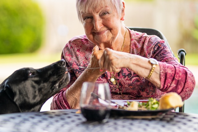 12 Best Books About Dementia